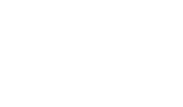 logo light